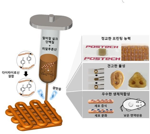 연구개념도