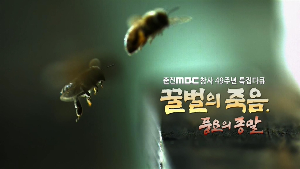 꿀벌의 죽음