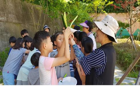 학교 텃밭