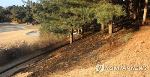 골프장 화재