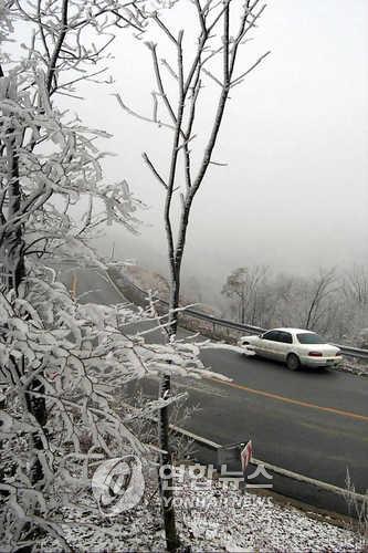 함백산 만항재(해발 1천330m) 지방도로