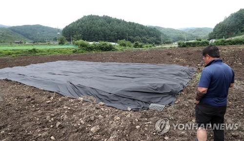 화상병에게 빼앗긴 과수원