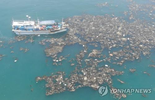 쓰레기 가득한 태안 앞바다