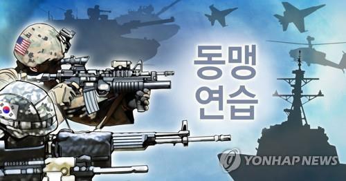 내달 한미연합연습 '동맹' 명칭 안쓸듯(PG)