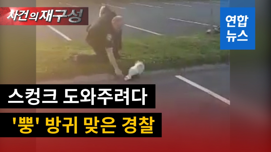 [영상] '제발 방귀는 참아줘'…위험에 빠진 스컹크 도와준 경찰관 - 2