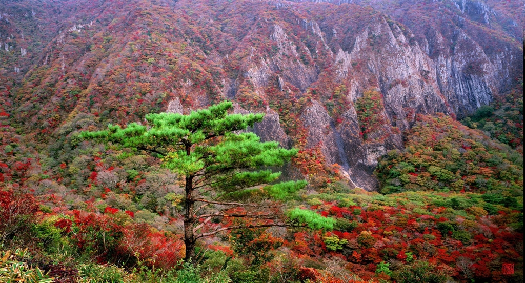 가을 한라산의 모습