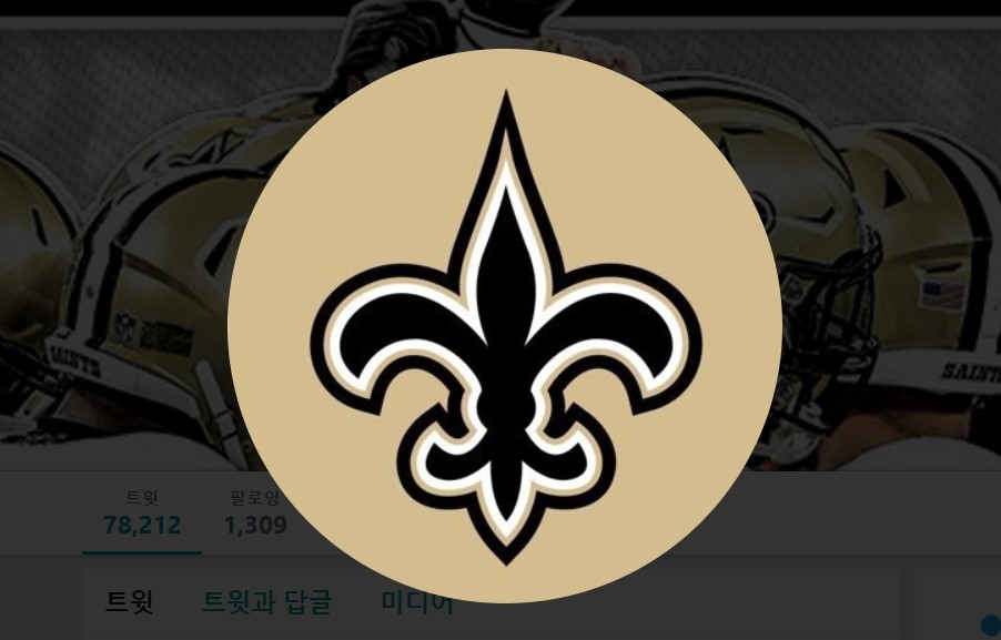 미국 프로풋볼(NFL) 뉴올리언스 세인츠의 상징인 백합 문양. 