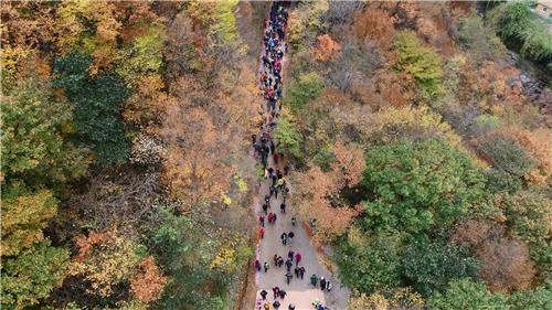 '지리산 가을, 하동을 걷다'…26일 지리산 회남재 숲길 걷기