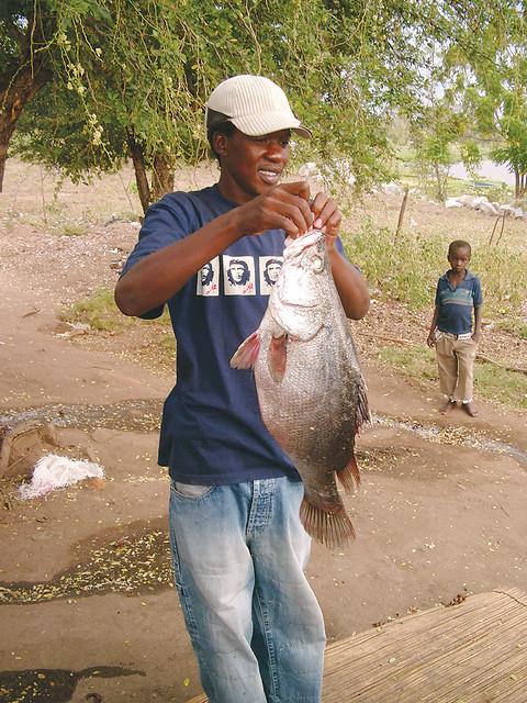 아프리카 탄자니아 빅토리아 호수에서 잡힌 나일 농어(Nile Perch). 최대 2m까지 자라는 포식성 담수 어류다. [출처:Flickr]