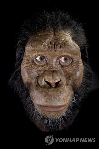 루시보다 앞선 380만년 전 오스트랄로피테쿠스 아나멘시스 두개골로 복원한 얼굴