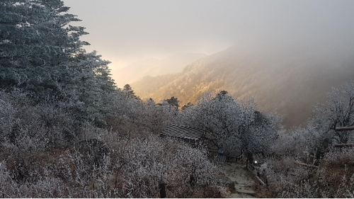 지리산 장터목대피소 일대 상고대
