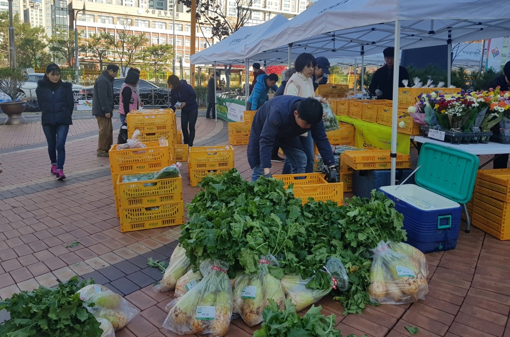 농협광주본부 김장 직거래장터