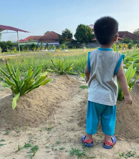 부모 무덤 바라보는 말레이시아 두 살배기