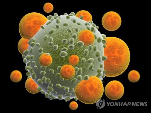 T세포로부터 공격받는 암세포