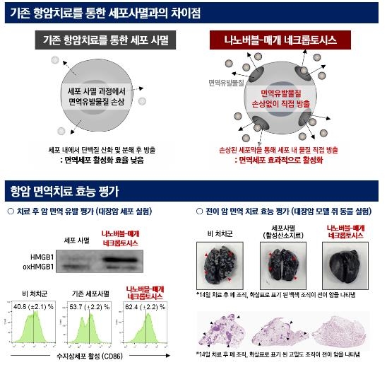 기존 항암치료와 나노기포 이용 암 치료의 차이