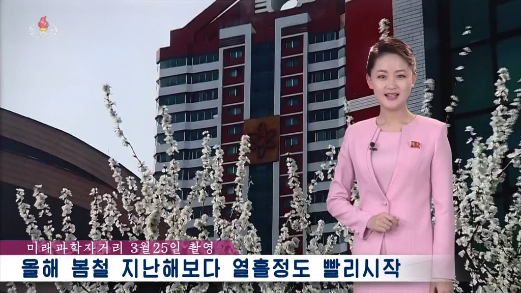 북한 평양에도 봄기운 '물씬'…"작년보다 열흘 빨라"