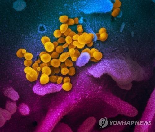 신종 코로나바이러스