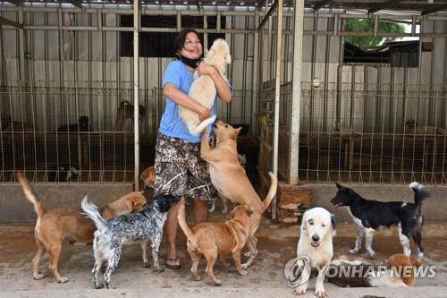 11년째 개고기로 도축될 개 구조해온 인도네시아인 의사 수사나 소말리(55)