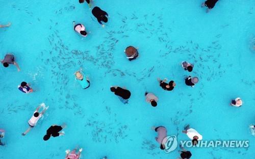 작년 봉화은어축제 모습