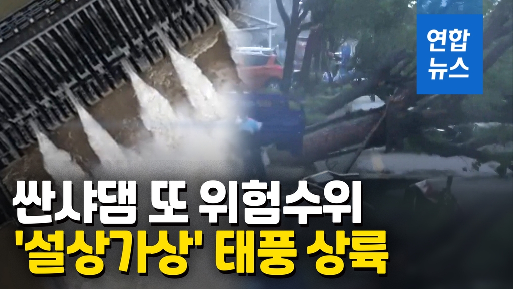 [영상] 나무가 뿌리째 뽑힐 정도…중국 상륙한 태풍 '하구핏' 위력 - 2