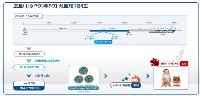 코로나19 유전자 치료제 개념도