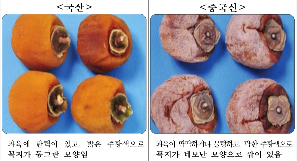 국산과 중국산 곶감 식별법