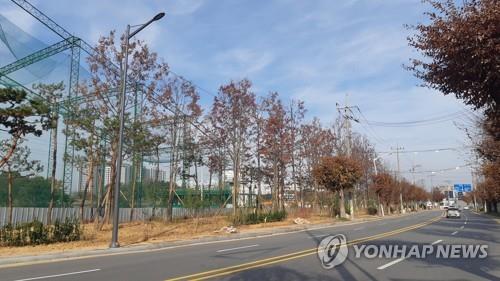 미세먼지 차단 숲