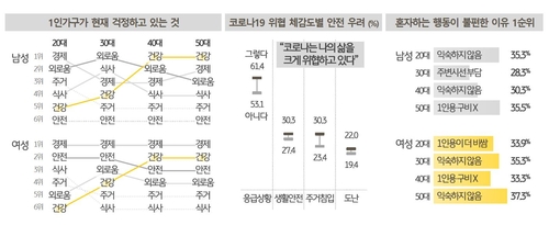 1인 가구의 걱정·불안 요소 