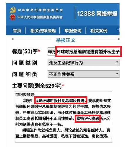 중국 사정당국에 고발된 후시진 관련 주요 내용(빨간색)