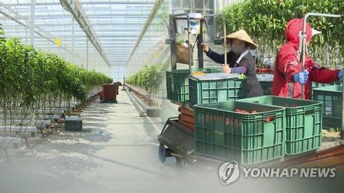농어촌 외국인 노동자(CG)