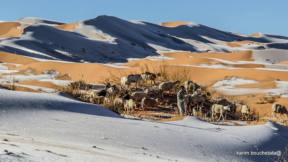 13일(현지시간) 북아프리카 알제리 아인 세프라 지역 사하라 사막에 눈이 쌓여있다.