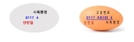 미국산 달걀(왼쪽)과 국산 달걀 표시사항
