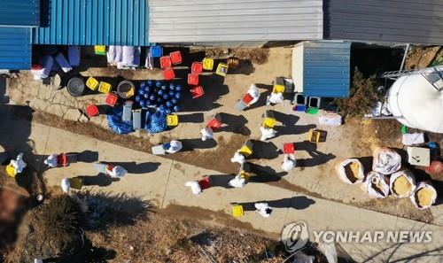 지난달 AI 발생 경기 안성 농가 살처분 모습