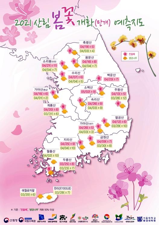 진달래·생강나무 만개 예측 지도