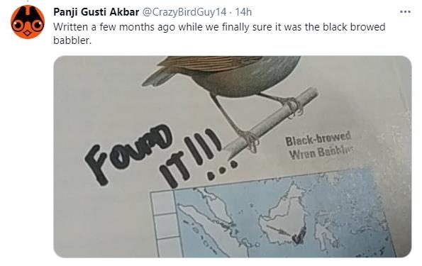 "그 새는 Black-browed babbler가 확실하다"