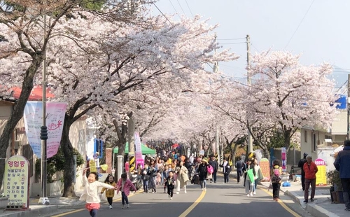 [통영소식] 제18회 봉숫골 꽃나들이 축제 취소