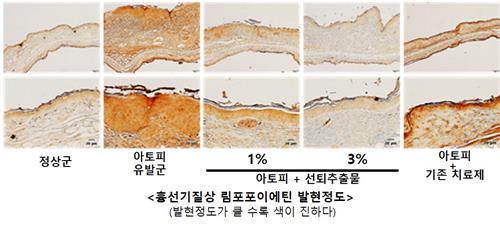 선퇴 추출물 투여군에서 염증성 사이토카인 감소 효과