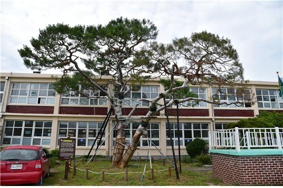 진주 지수초등학교