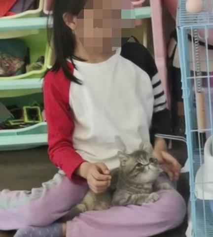 중국서 어린 소녀 1주일여만에 돌연 탈모…'고양이 때문'