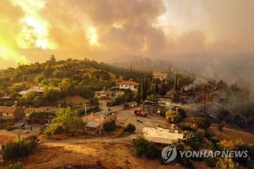 터키 남부서 발생한 대규모 산불