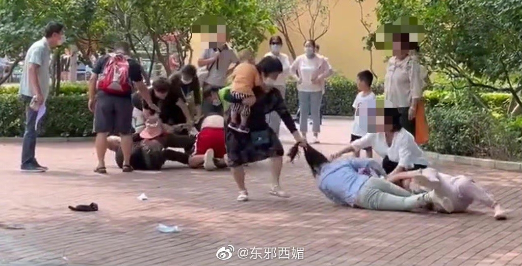 중국 동물원서 집단 몸싸움