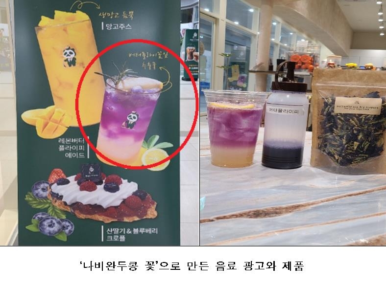 식품사용이 금지된 나비완두콩 꽃으로 만든 제품
