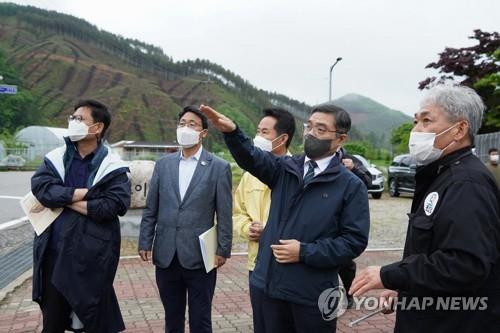 홍천군 두촌면 벌채 현장