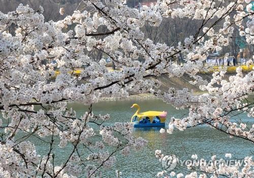 봄 타는 오리배
