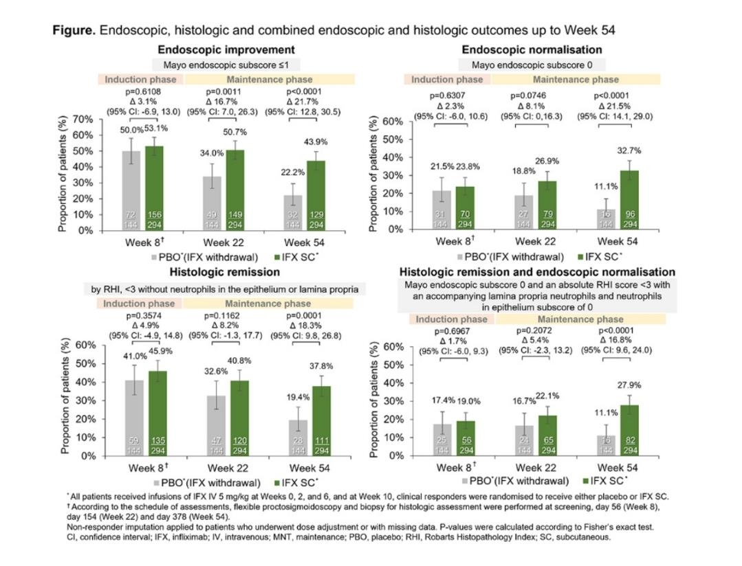 54주까지 내시경적, 조직학적, 혼합적 결과 