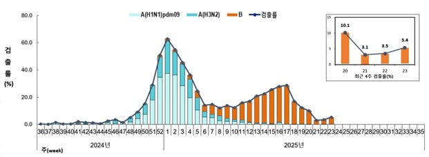 인플루엔자 바이러스 검출률