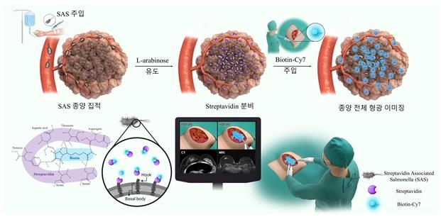 형광 가이드 기반 수술 모식도