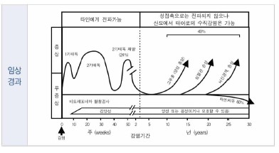 매독의 임상 경과