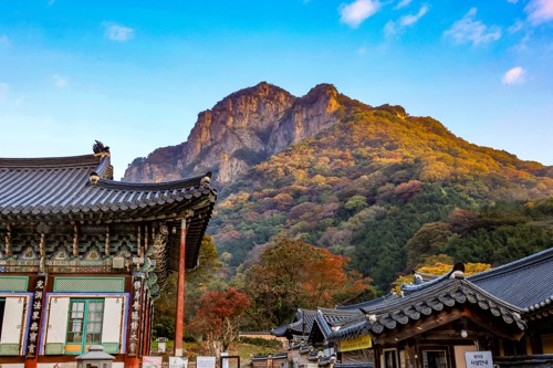 [여행honey] 조선 팔경 백암산 백양사