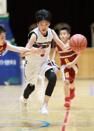 영광군, 전국 초등학교 농구대회 개최 - 1
